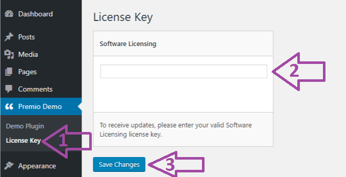 Now click on "License Key" option, fill out your license key, and click on "Save Changes"