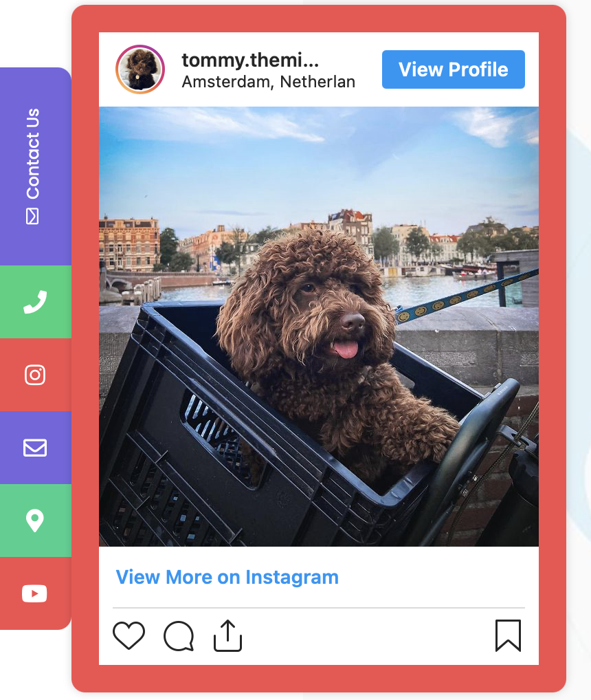 Embedded Instagram or social media post in My Sticky Elements
