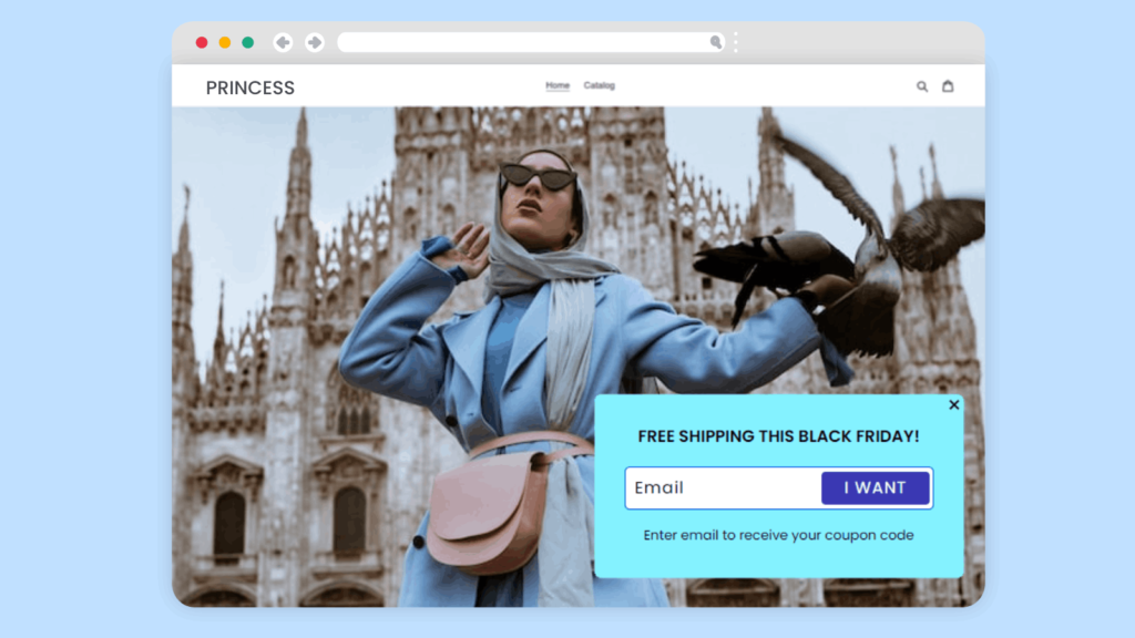 10 Black Friday Discount Coupon Pop Up Examples You Can Offer Customers -  Premio